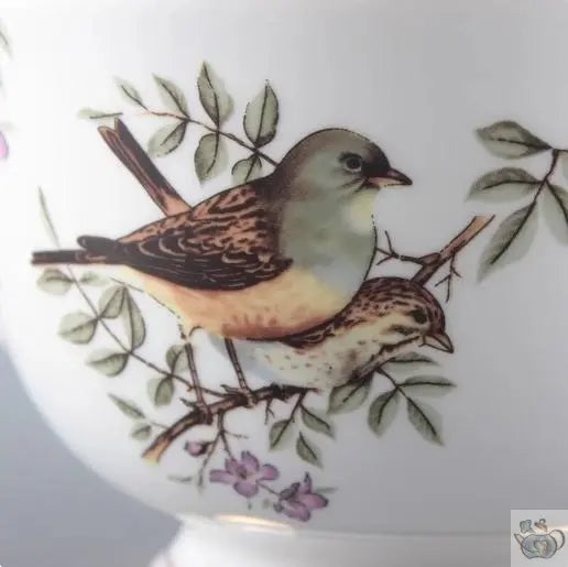 Théière à l'oiseau porcelaine fine | Théières à la folie