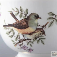 Thumbnail for Théière à l'oiseau porcelaine fine | Théières à la folie