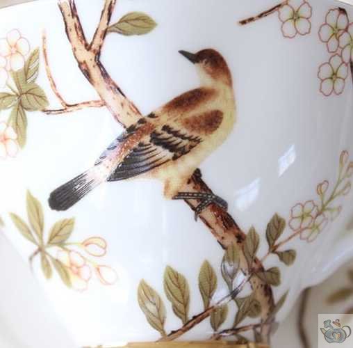Théière anglaise porcelaine nature et oiseaux | Théières à la folie