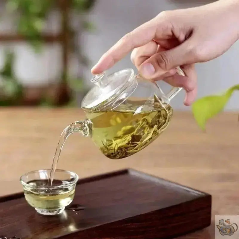 Théière en verre "Essentielle" | Théières à la folie