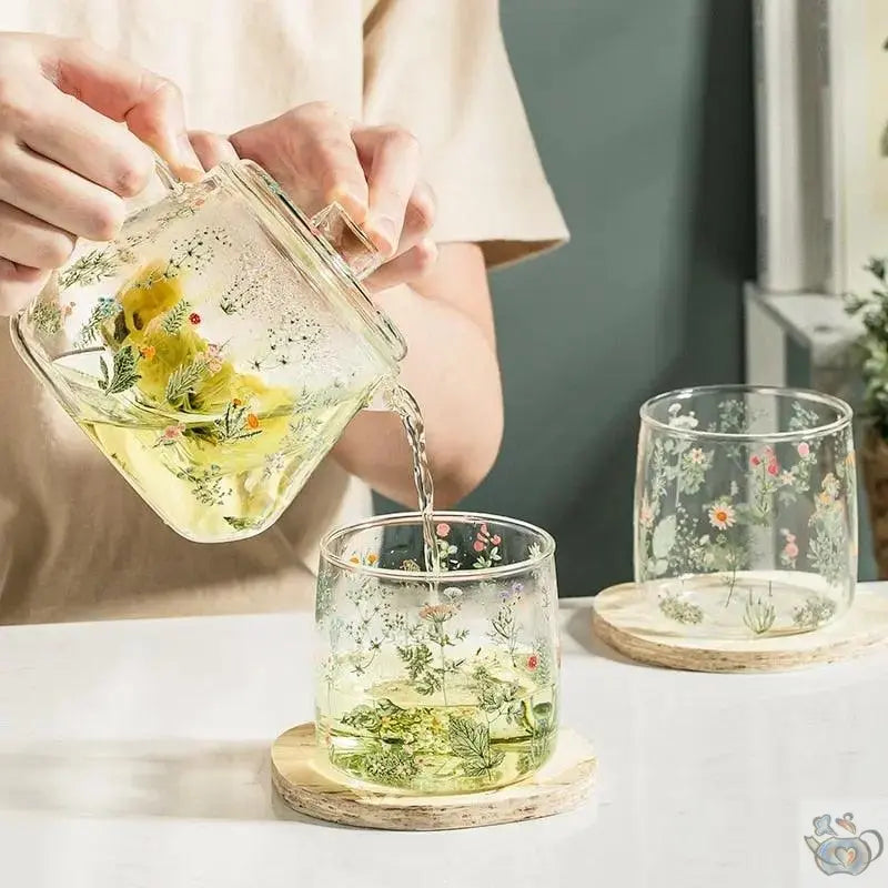 ​Théière en verre aux plantes | Théières à la folie
