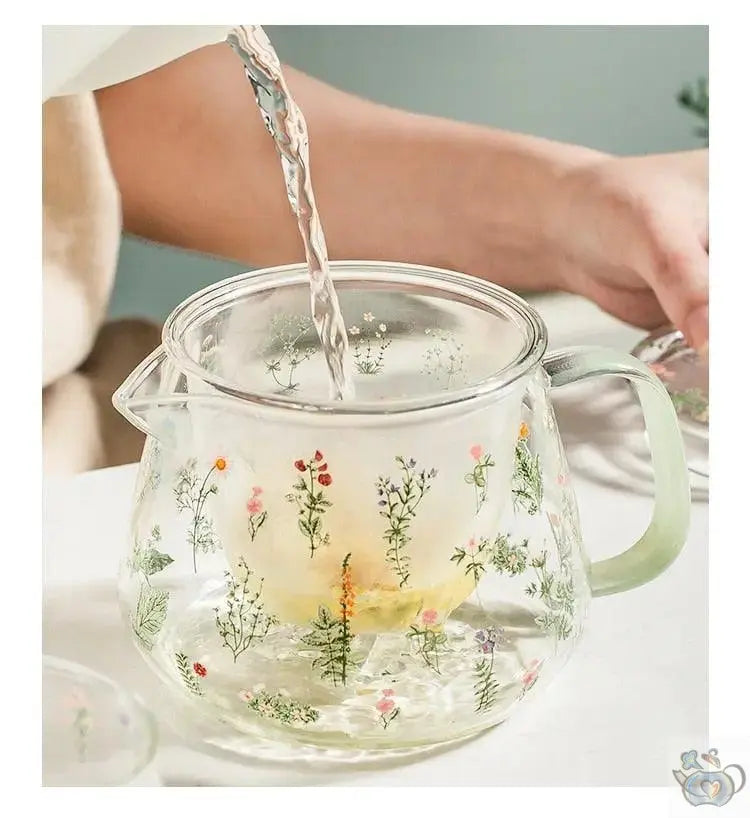 ​Théière en verre aux plantes | Théières à la folie