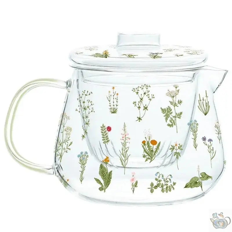 ​Théière en verre aux plantes | Théières à la folie