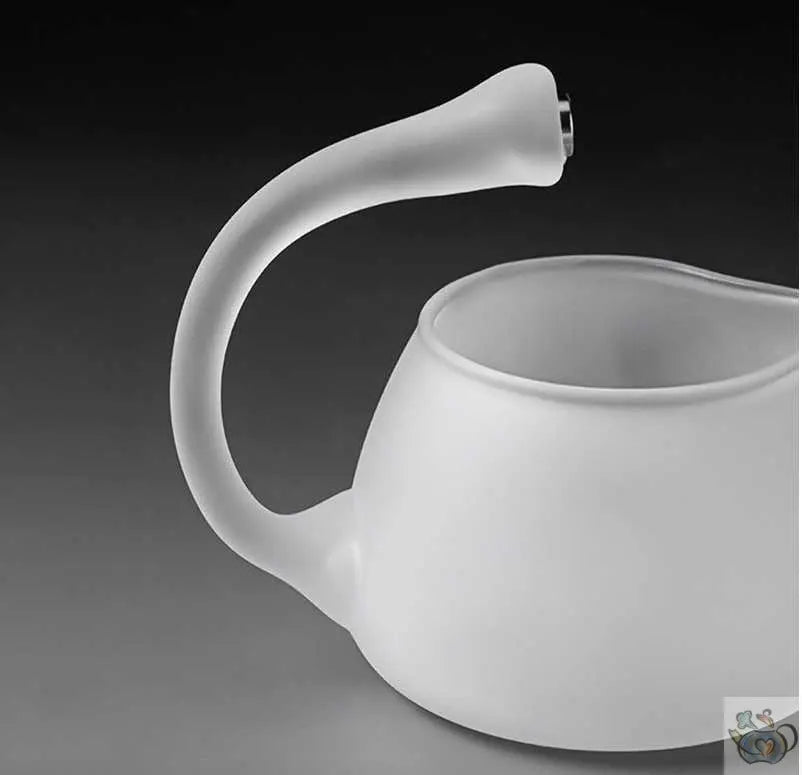 ​Théière magnétique verre givré | Théières à la folie