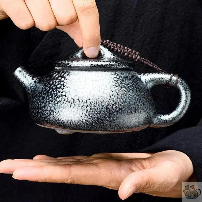 ​Théières japonaises noires gouttes d’argent | Théières à la folie